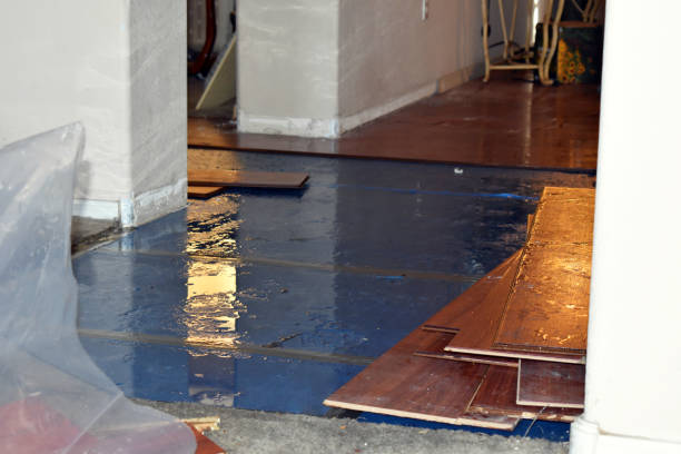 Professional Flood Cleanup technician working in Centreville, VA
